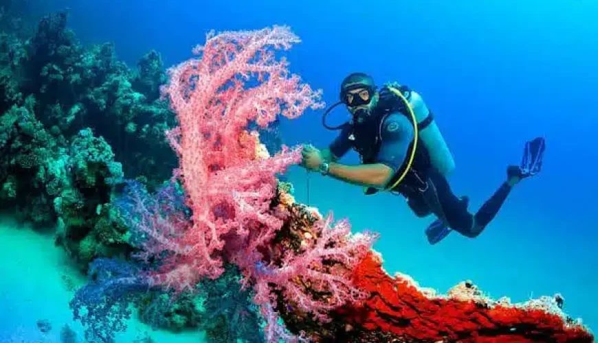 Top 10 Diving Spots in Hurghada You Can’t Miss