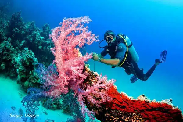 Top 10 Diving Spots in Hurghada You Can’t Miss